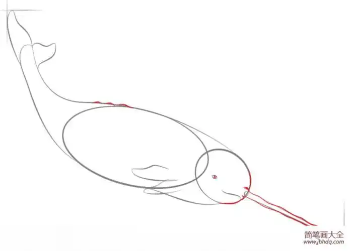 大鱼海棠独角鲸简笔画