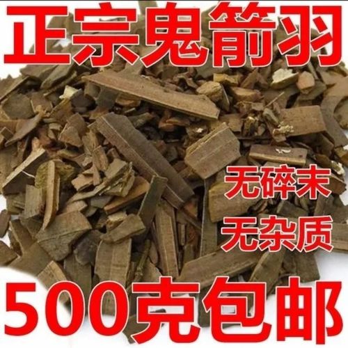 秦岭野生鬼箭羽中药材鬼见羽卫矛六月凌鬼箭羽250克包邮