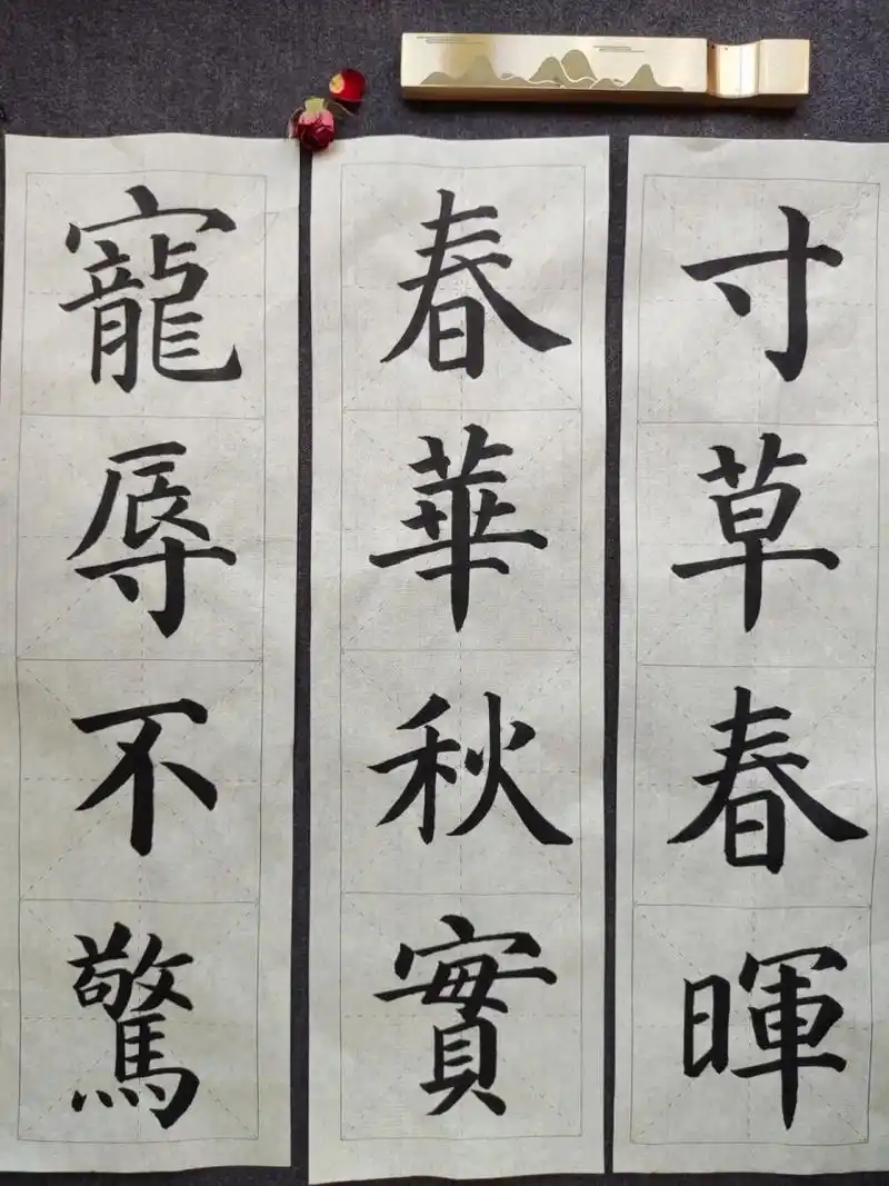 颜体楷书3/小学生可以写的四字毛笔作品 宠辱不惊 春华秋实 寸草春晖