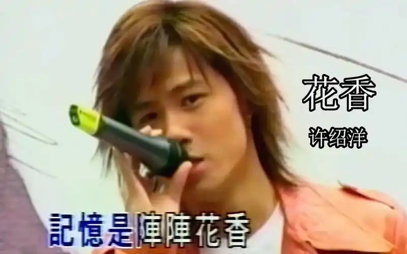 【高清重置】怀旧向-许绍洋《花香》mv 《薰衣草》主题曲-那些年追过
